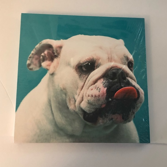 12” x 12” Dog Canvas Art Print Lot of 2 - Picture 7 of 10